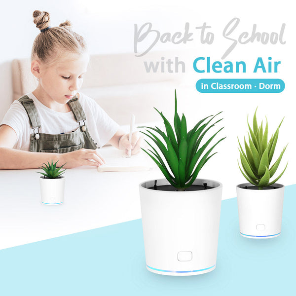 Air purifier - An innovative and natural solution for clean air 